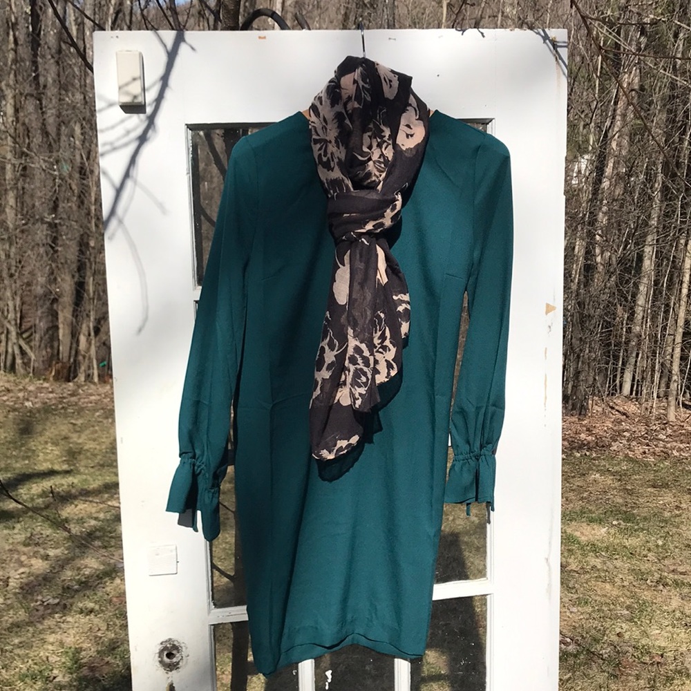 Banana Republic Teal garden party dress